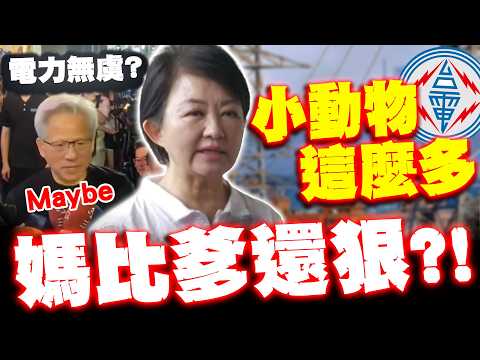 【全程字幕】黃仁勳"maybe"戳痛處青鳥臉綠! 盧秀燕說出百姓心聲嘆:小動物這麼多 thumbnail