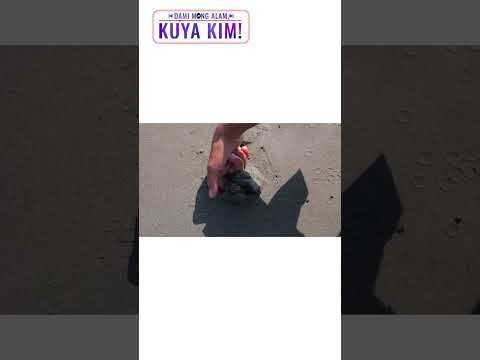 Kusimay na hindi nakakaumay, tikman sa Ilocos Norte! | Dami Mong Alam, Kuya Kim! thumbnail