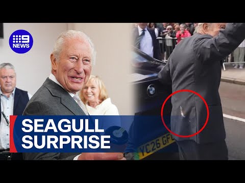King Charles laughs off seagull mishap during surprise Northern Ireland visit | 9 News Australia thumbnail