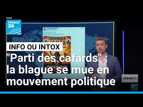 "Parti des cafards" : quand une blague devient un mouvement politique viral • FRANCE 24 thumbnail