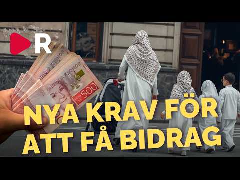 Så länge måste invandrare vänta på att få bidrag med nya reglerna thumbnail