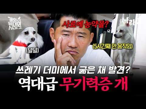 [#마라맛] 학대와 폭행 당하고 트라우마 겪는 스피츠...?5시간 동안 움직이지 않는다..!? | #개와늑대의시간 thumbnail