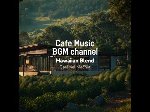 Cafe Music BGM channel - Caramel Macnut (Official Music Video) thumbnail