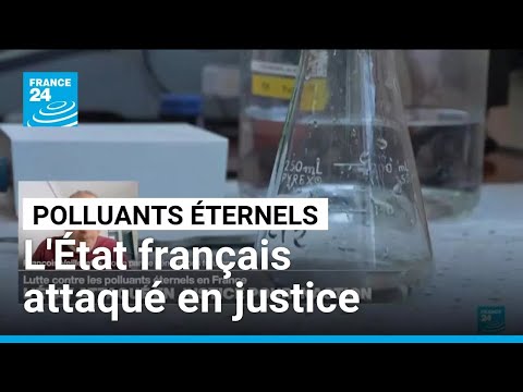 Lutte contre les PFAS : l'État français attaqué en justice pour inaction • FRANCE 24 thumbnail