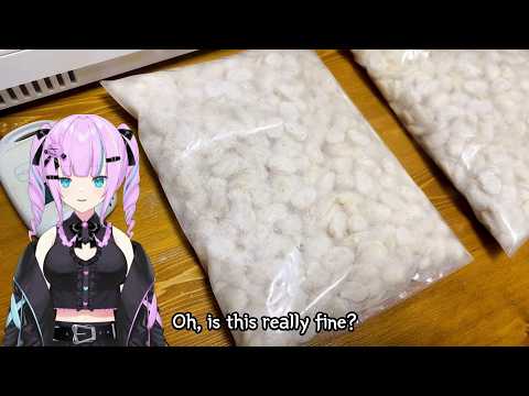 Japanese try to make tempe from soybeans thumbnail