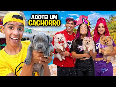ADOTEI UM CACHORRINHO *Conheça o novo pet dos Rosa ! thumbnail