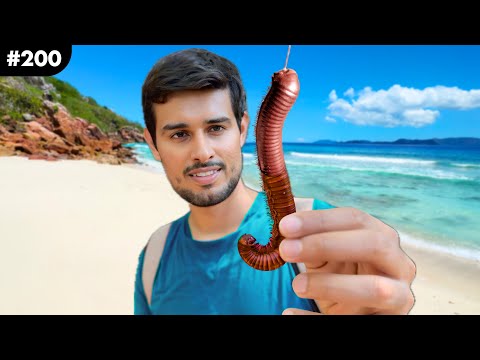 The Mysterious Island of Lizards! 🦎 thumbnail