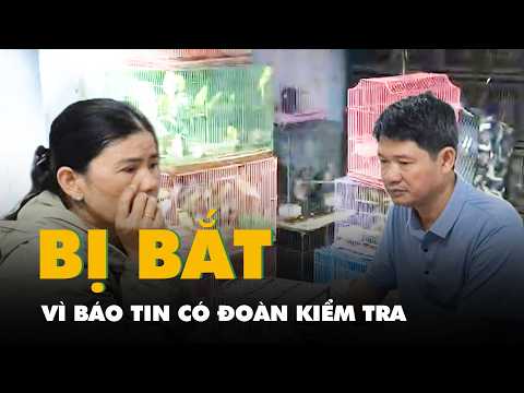 Trạm trưởng Trạm kiểm lâm Vũng Tàu bị bắt vì báo tin có đoàn kiểm tra cho chủ tiệm bán chim thumbnail
