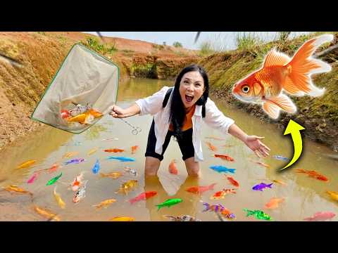 MENANGKAP IKAN WARNA WARNI DI PENGAIRAN ! thumbnail