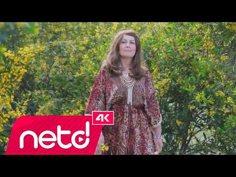 Hanife Aydı - Ey Sevdiğim Bakma Halime thumbnail