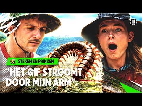 GEBETEN WORDEN DOOR EEN DUIZENDPOOT DIE LIJKT OP EEN DRAAK 😨 🐲| Steken en Prikken | S6 #4| NPO Zapp thumbnail
