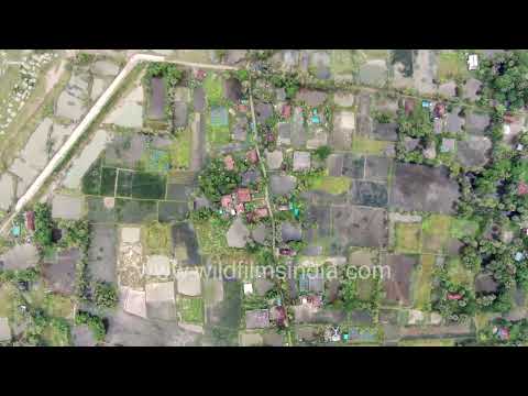Fly over the fragile landscape of Ghoramara Island in the Sundarban Delta thumbnail