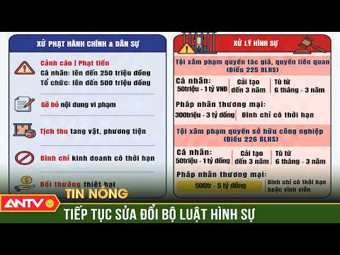 Sửa đổi Bộ luật Hình sự để nâng mức xử lý tội 'Xâm phạm quyền sở hữu công nghiệp' | ANTV thumbnail