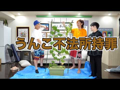 【隠れニラだぁ♪】存在しない言葉 集【東海オンエア】 thumbnail