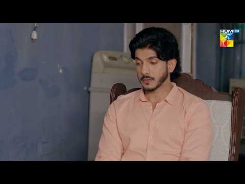 Biwi Ki Wajha Se Itny Taany Sunny Ko Milay...! #alishbakhan - Musafat - HUM TV thumbnail