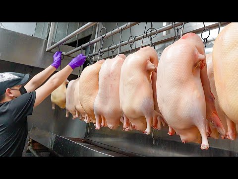 Juicy! Roast Peking Duck Dishes in High-end Duck Restaurant / 一鴨八吃! 高級北京烤鴨餐廳 - Taiwanese Food thumbnail