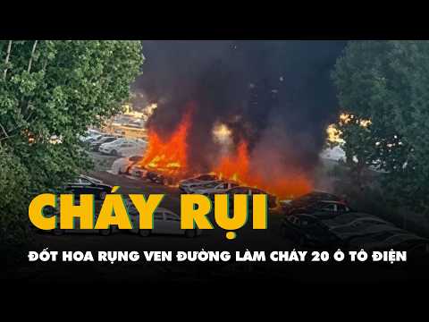 Trung Quốc: Đốt hoa rụng ven đường làm cháy rụi 20 ô tô điện mới thumbnail