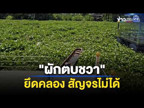 เดือดร้อน! ผักตบชวายึดคลองเรือสัญจรไม่ได้ l ตลาดข่าว - ข่าวเช้าเวิร์คพอยท์ l 1 มิ.ย.69 thumbnail