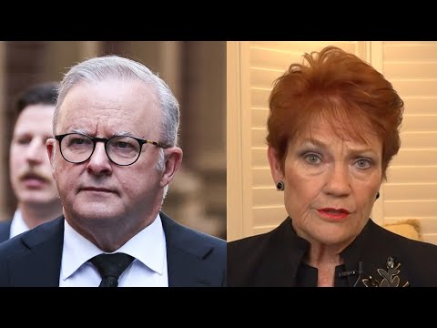 ‘Knows he’s in trouble’: Hanson claims Albanese will call early election thumbnail