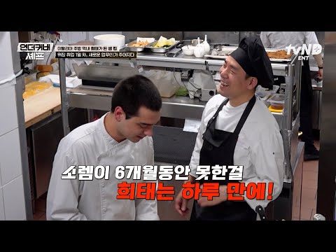 [#언더커버셰프] 막내 생활 하루 만에 새로운 업무를 받은 샘 킴⁉️ 희태의 젤라토 서빙 도전기🍨 thumbnail
