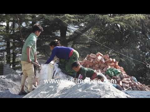 Kids play at construction site in Himalaya, while their Nepalese parents work with stone and cement thumbnail