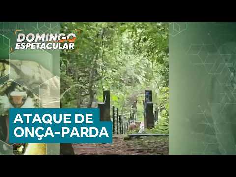 GO: menina de 8 anos é atacada por onça-parda durante passeio com a família na Chapada dos Veadeiros thumbnail