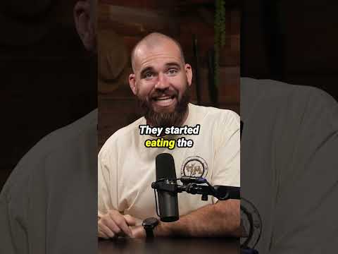 This Is Evolution At It's Finest thumbnail