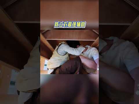陈立农最强辅助 #奔跑吧 #奔跑吧14 thumbnail