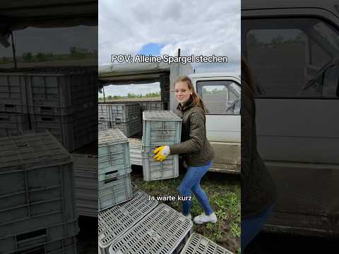 Wart ihr schon mal alleine Spargel stechen? #pov #allein #gemüse #ernte #bauernhof thumbnail