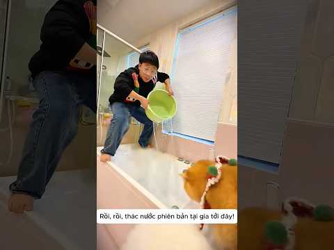 Mèo Hư Lén Ăn Kẹo Mút Khổng Lồ 🍭😹 thumbnail