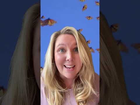 Monarch butterfly migrations are a spectacle — and a key indicator of ecosystem health #TEDTalks thumbnail
