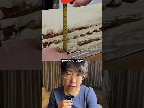 Is this Tiramisu Actually Infinite according to the Coastline Paradox? thumbnail