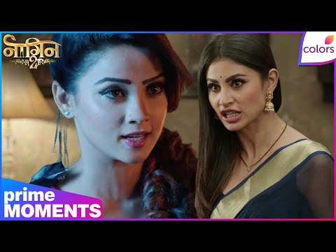 Naagin S2 | Highlights | Ep. 14 | Shesha’s Plan To Kill Shivangi! Avantika Intervenes | Colors TV thumbnail