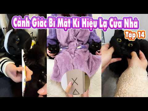 ☠️🤔 Cảnh Giác Bí Mật Kí Hiệu Lạ Cửa Nhà | Mun Mun thumbnail
