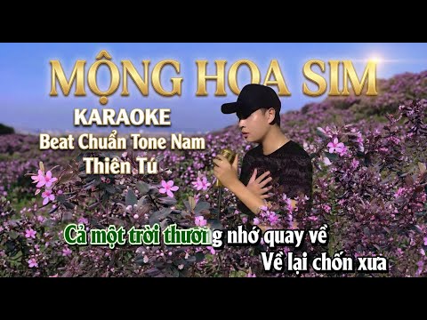 MỘNG HOA SIM | Karaoke Tone Nam Thấp – Beat Gốc Dễ Hát Không Bè | Thiên Tú 2026 thumbnail