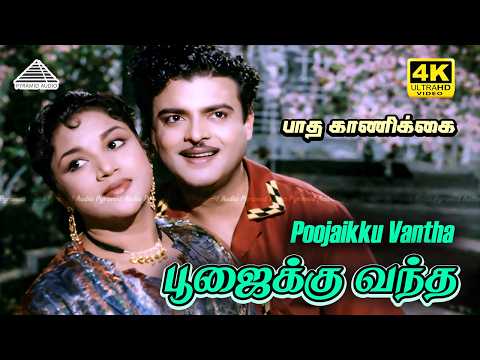 Poojaikku Vantha Malare 4K Video Song | Paadha Kaanikkai | Gemini Ganesan | Savitri thumbnail