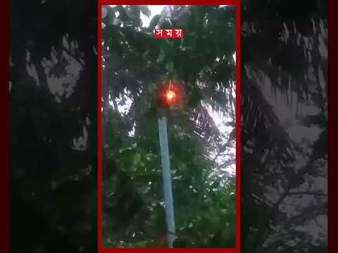 চুয়াডাঙ্গায় ব জ্র পা তে নারকেল গাছে দাউ দাউ করে আ গু ন! | Thunder | Climate Change | Chuadanga thumbnail