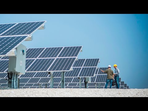 Australian Dairy Farmers Association warns renewable energy must not impact food security thumbnail