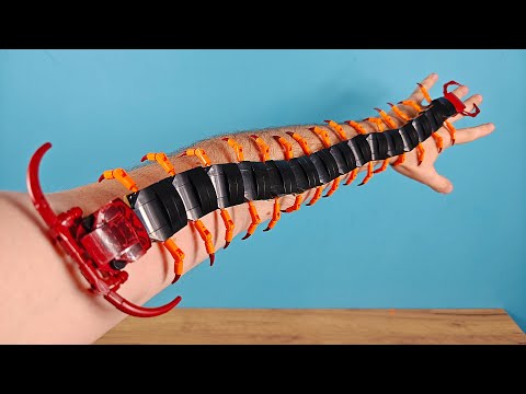 ¡Mi ESCOLOPENDRA mudó la piel y creció mucho! thumbnail