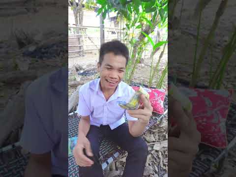 เด็กฉลาดแกล้งขอเงินพ่อไปโรงเรียน | Money studay thumbnail