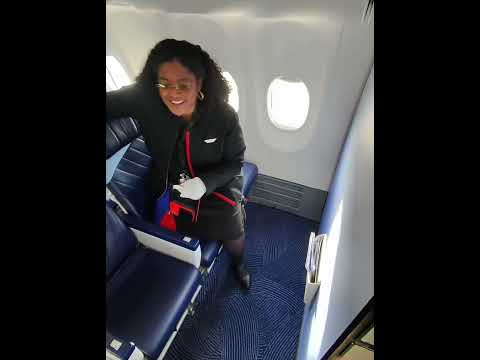 Travel when having a service dog thumbnail