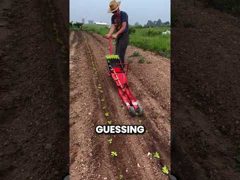 This Is How Japan Plants an Entire Field Without Lifting a Finger thumbnail