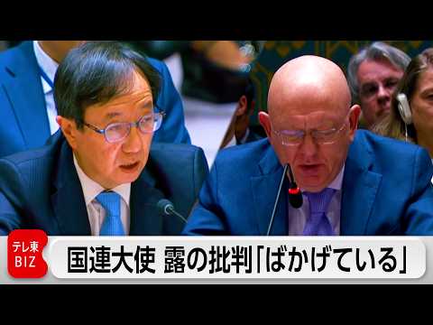 ロシアの日本”再軍備”批判「ばかげている」 国連大使がロシアに反論 thumbnail