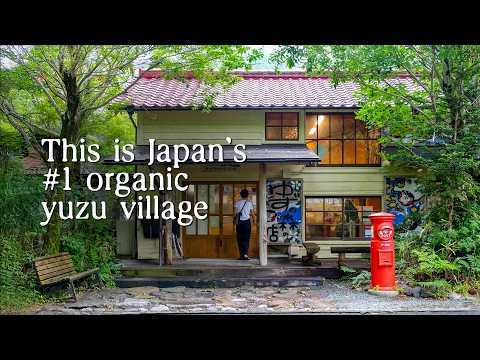 I Visited Japan’s #1 Organic Yuzu Producer (and Only 750 People Live Here) thumbnail