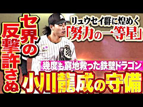 【セ界の反撃許さぬ】小川龍成『広大な守備範囲と球際の強さ…幾度もピンチ救った鉄壁ドラゴンまとめ!!!』 thumbnail