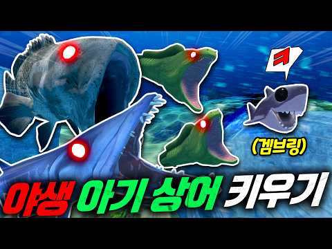 피드앤그로우에 레벨 1 아기상어 등장! 포식자들을 피해 포식자를 키우는 아기상어 키우기 대작전! thumbnail
