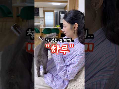 철 없는 부부의 하루ㅋㅋ thumbnail