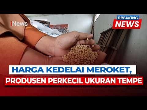 Harga Kedelai Meroket, Produsen Perkecil Ukuran Tempe | Breaking News 4/6 thumbnail