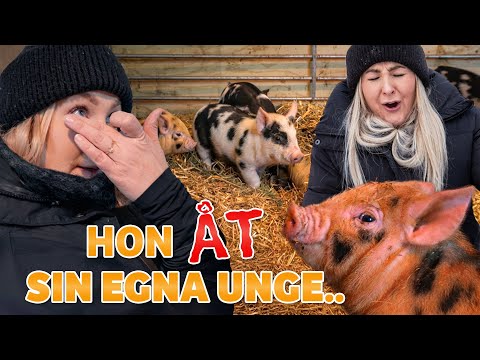 Ingen bra start på året.. 😣 | VLOGG #628 thumbnail