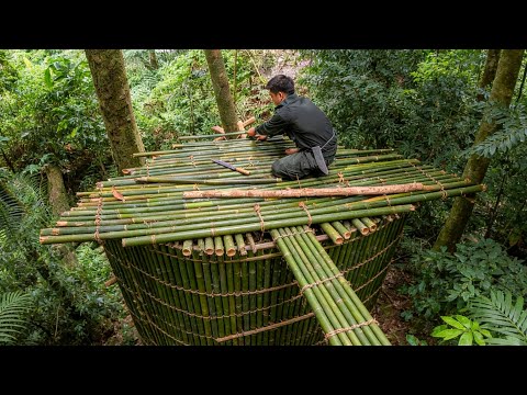 Man Builds SECRET Bamboo SHELTER In The Jungle With His EAGLE Companion | Full Build@Mr.TBushcraft thumbnail